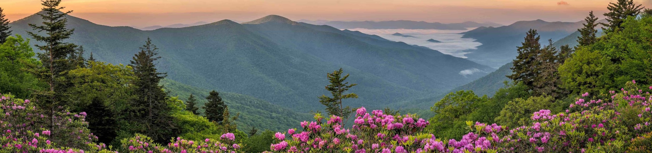 A photo of rain in the distant background of the Blue Ridge Mountains.